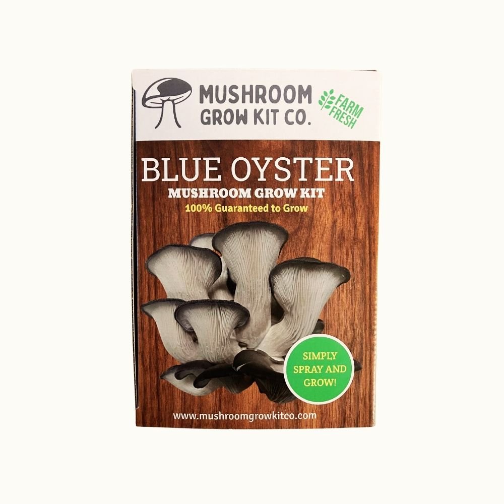 Blue Oyster Mushroom Growing Kit - 5 LBS Spray and Grow