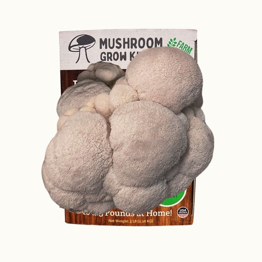 Lion's Mane Mushroom Growing Kit - 5 LBS Spray and Grow