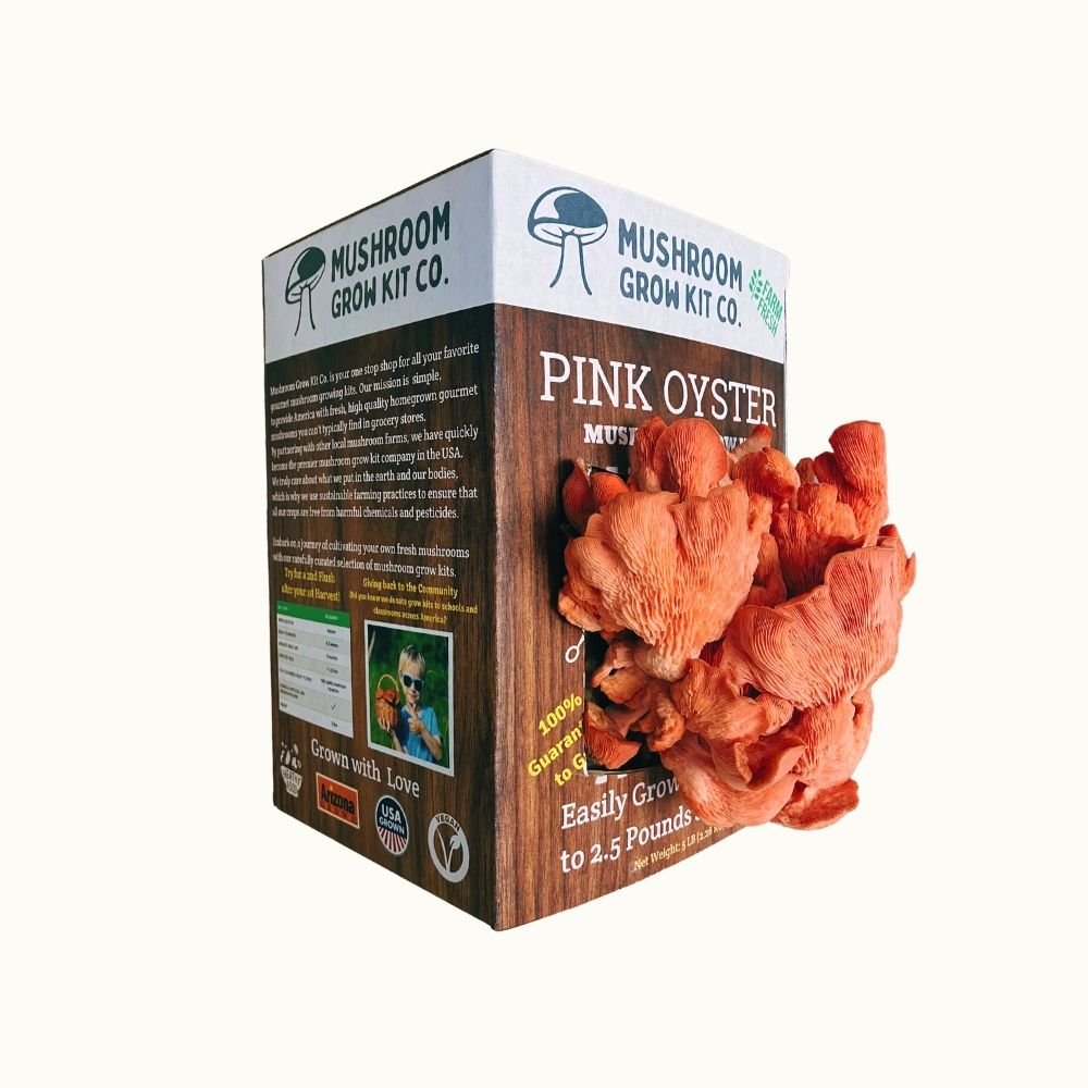 Pink Oyster Mushroom Growing Kit - 5 LBS Spray and Grow